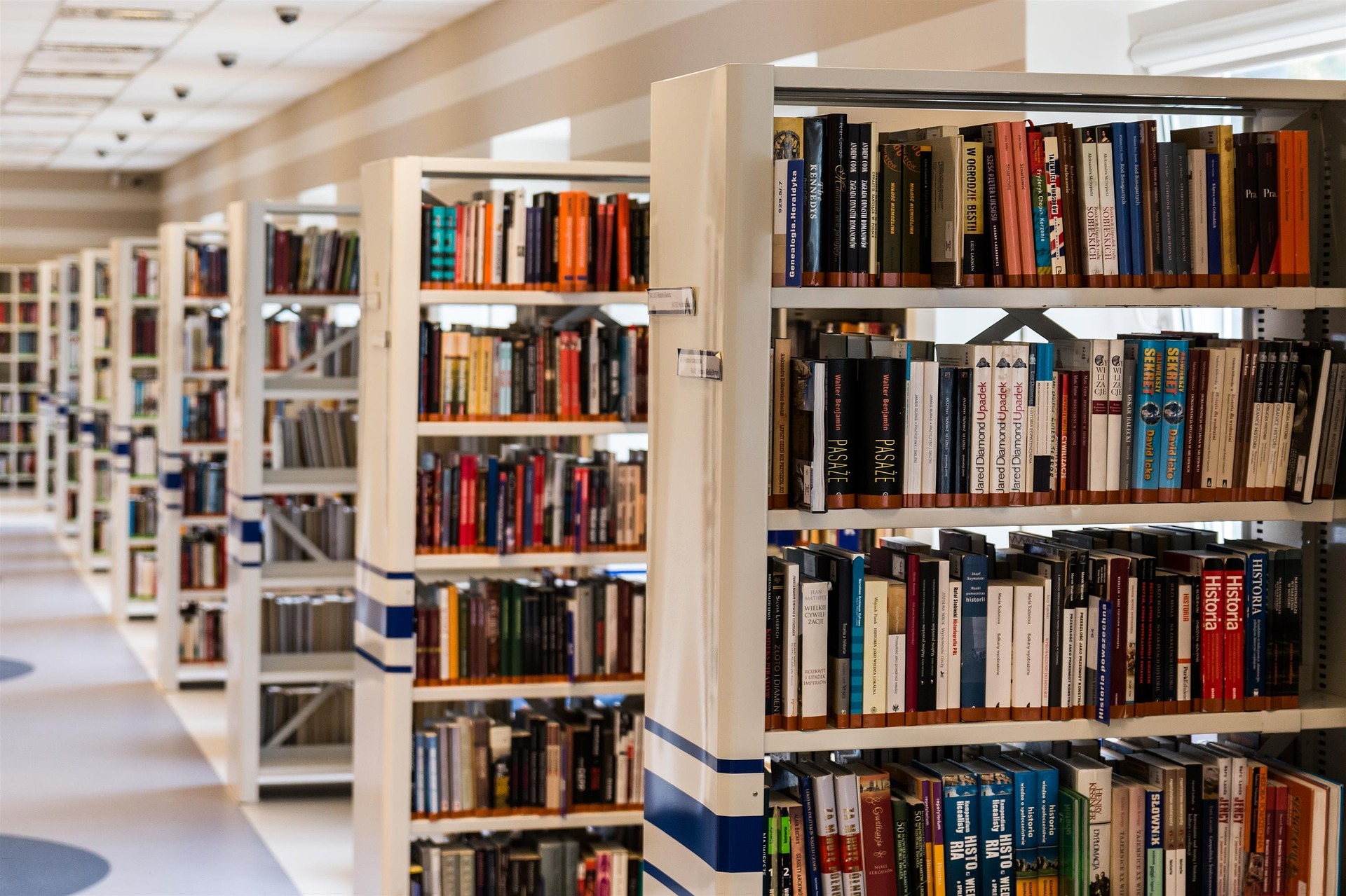 A warm library aisle lined with colourful book spines